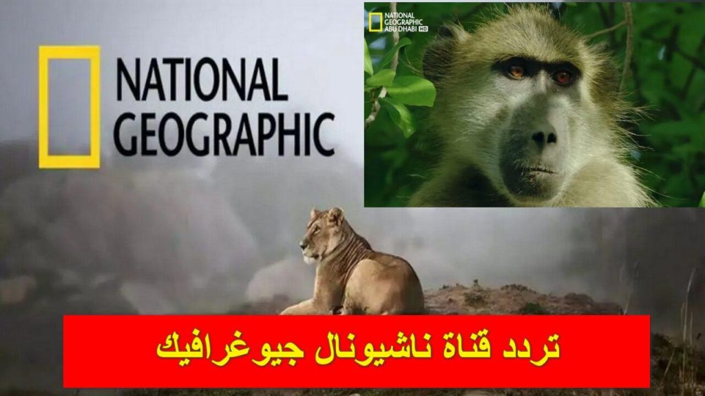 تردد قناة ناشيونال جيوغرافيك 2024 National Geographic