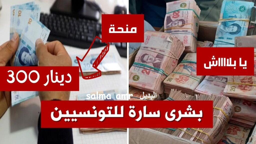 رابط التسجيل في منحة تونس 2024