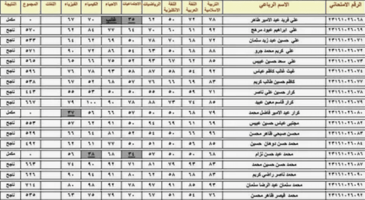 رابط رسمي.. استخراج نتائج السادس الاعدادي الدور الاول 2024 العراق بالرقم السري