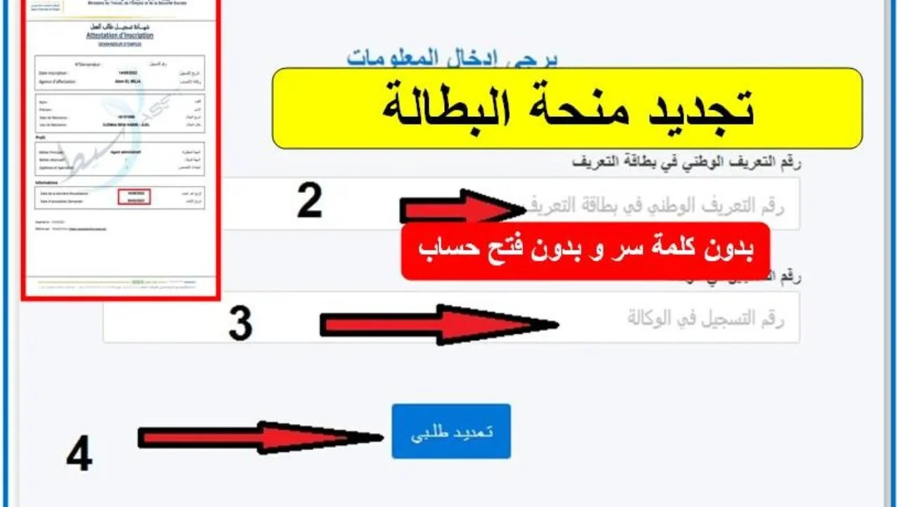 جددها قبل الايقاف.. خطوات تجديد منحة البطالة كل 6 أشهر عبر الوكالة الوطنية للتشغيل