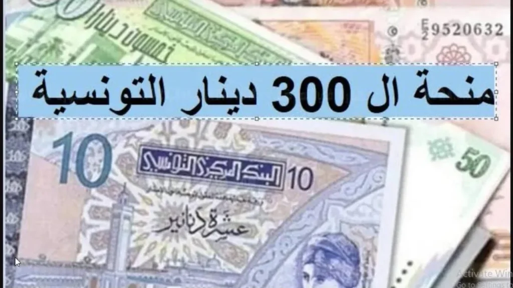 شروط الحصول على منحة وزارة الشؤون الاجتماعية في تونس