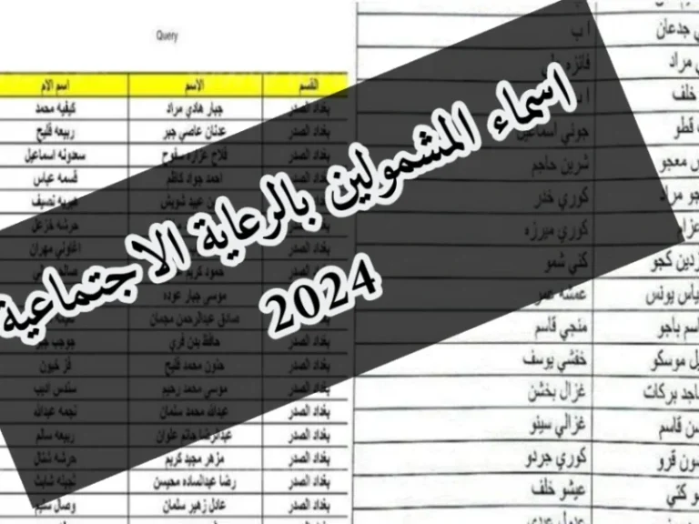 الاستعلام عن أسماء المستفيدين من الرعاية الاجتماعية لعام 2024 في العراق – خطوات وإرشادات الوجبة الأخيرة”