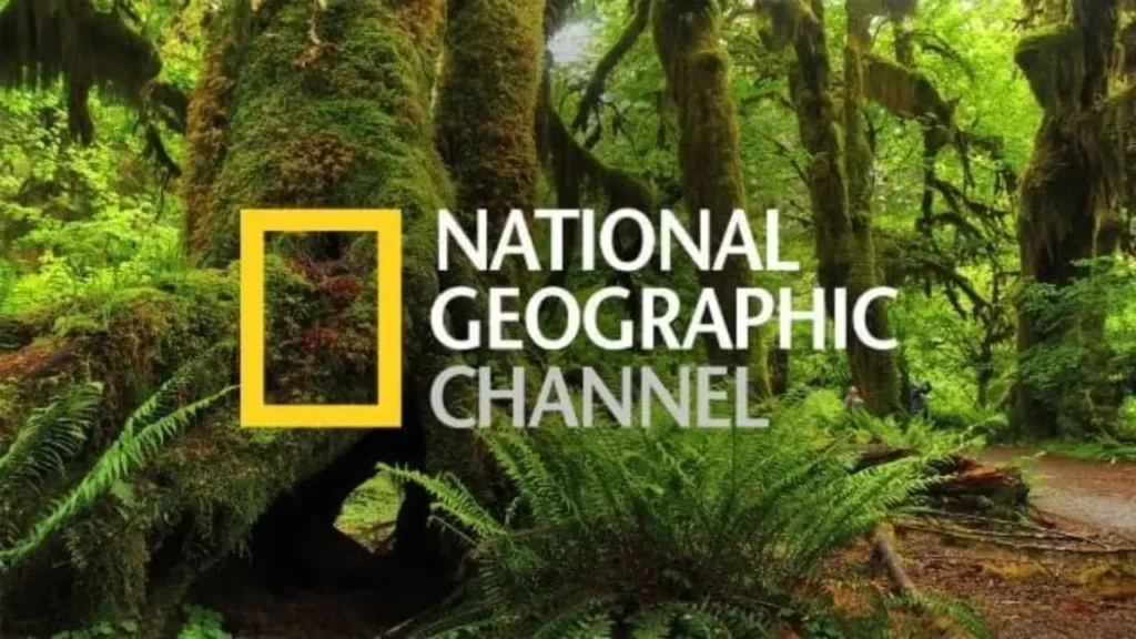 استقبل تردد ناشيونال جيوغرافيك National Geographic الجديد 2024 عبر الأقمار الصناعية.. واكتشف الطبيعة من حولك