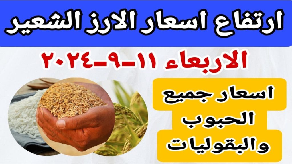 سعر طن الأرز الشعير اليوم