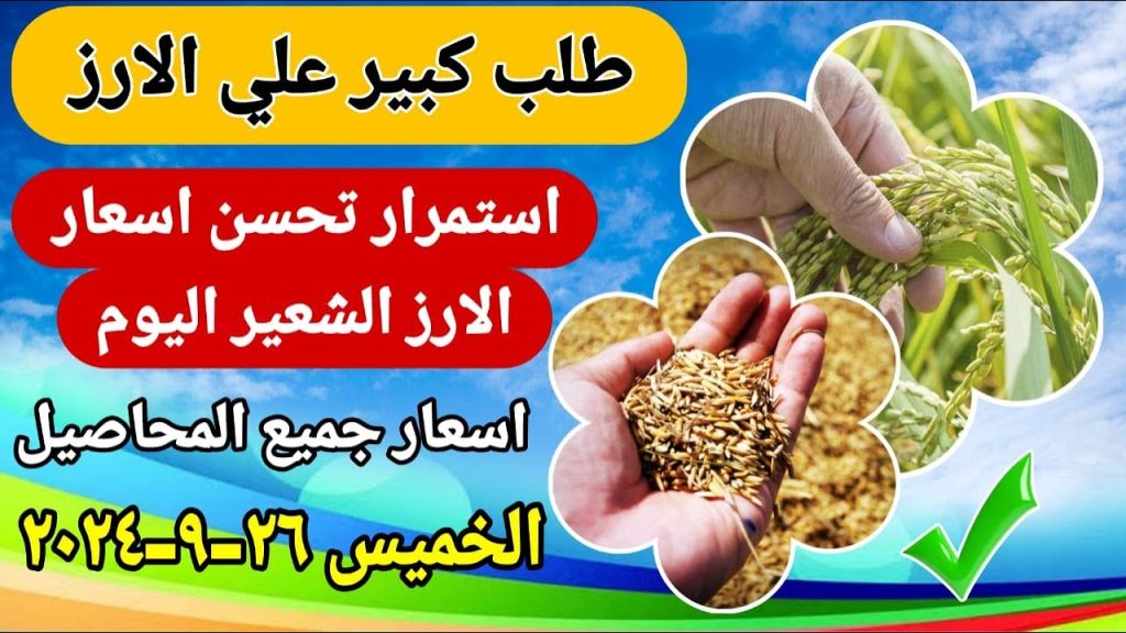 سعر طن الأرز الشعير اليوم الخميس