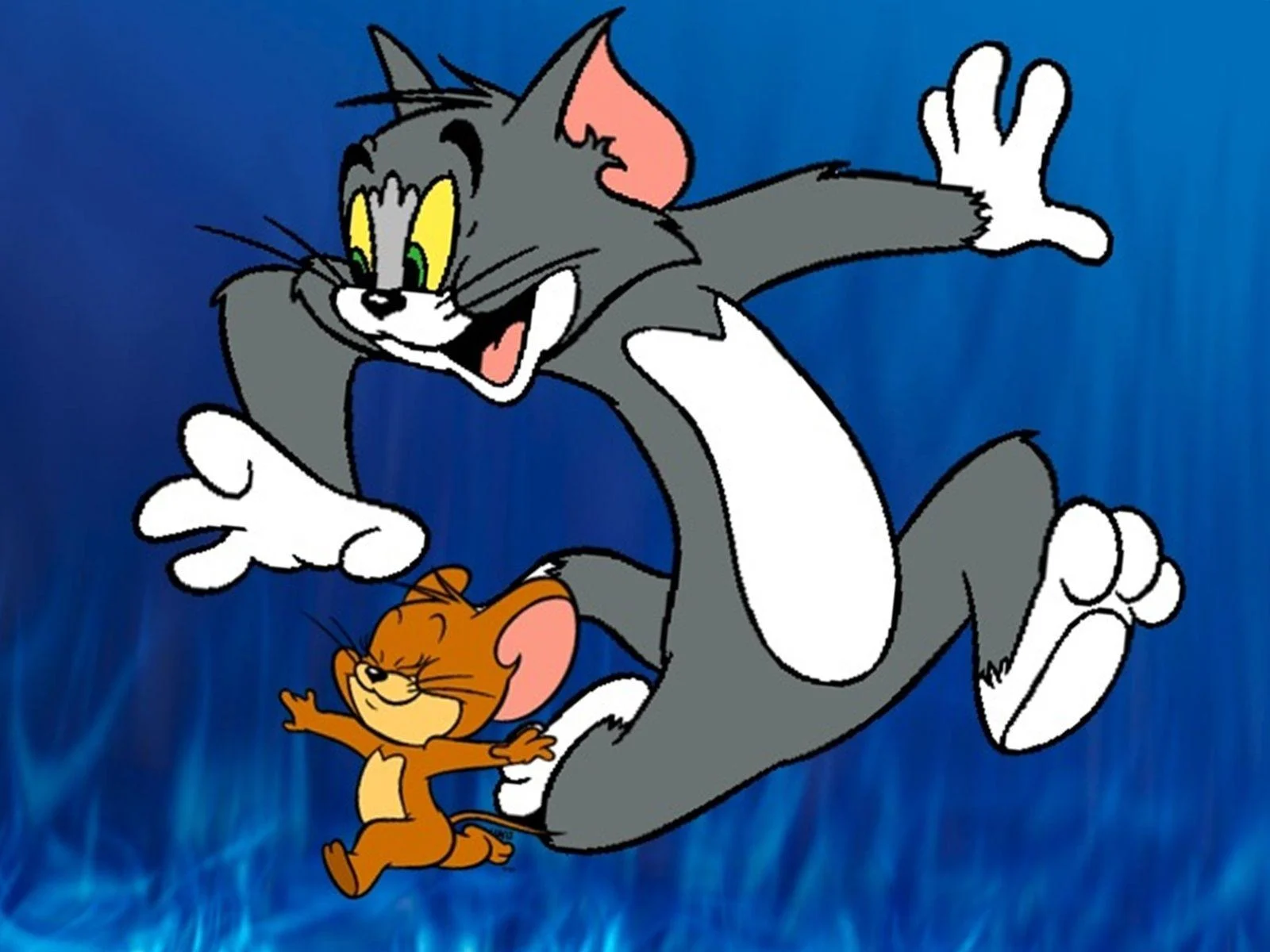 مغامرات القط والفار 24 ساعة.. تردد قناة توم وجيري TOM and JERRY واستمتع بأفلام الكرتون الجديدة 2024 بجودة ممتازة