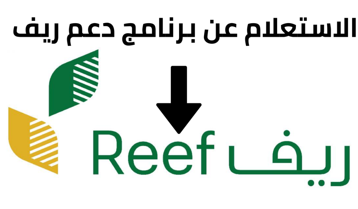 طريقة الاستعلام عن دعم ريف بالمملكة.. وما هي شروط الحصول على دعم ريف 1446