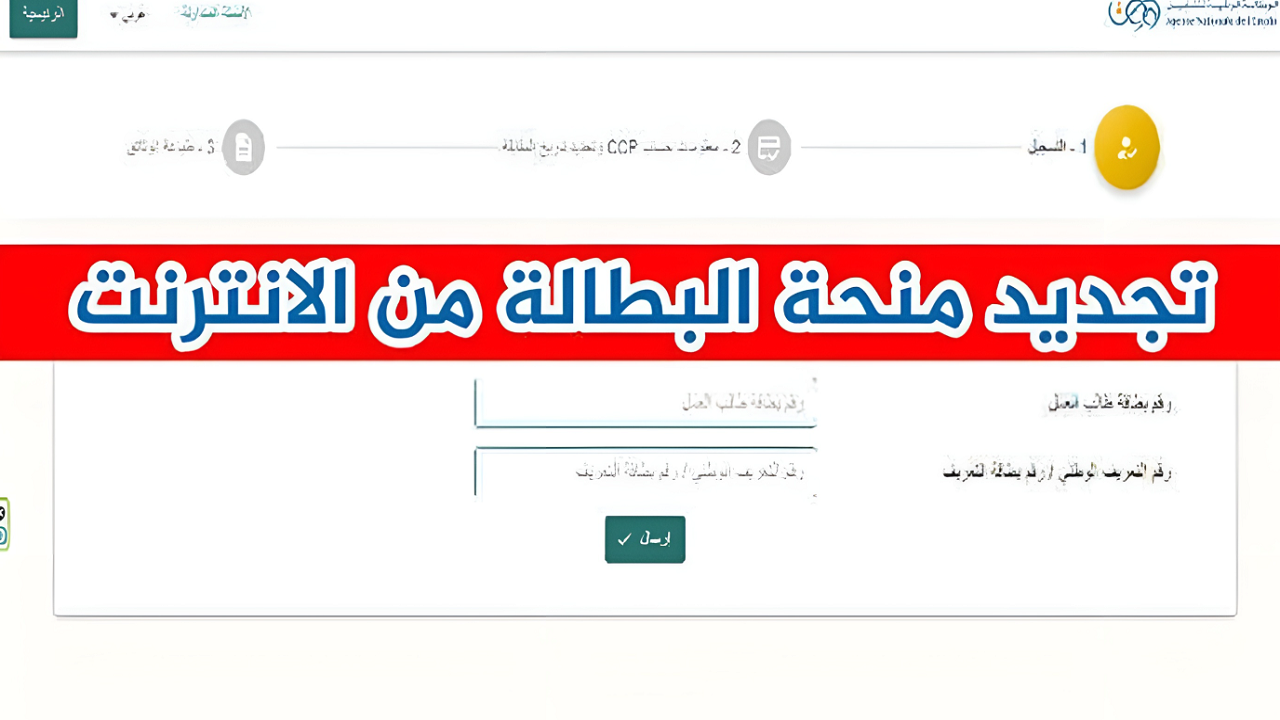 هتخسر 2000 دينار لو مجددتش.. خطوات تجديد منحة البطالة للمستفيدين منها وأهم شروط التجديد